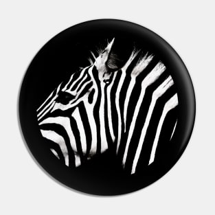 Zebra  - in a circle Pin