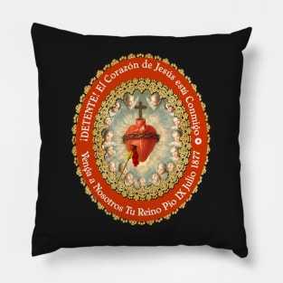 Detente Spanish Sagrado Corazon Sacred Heart of Jesus Catholic Prayer Pillow