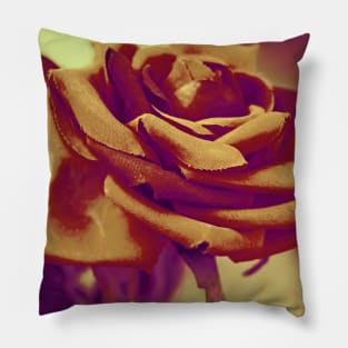 Vintage Rose 024 Pillow