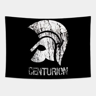 Centurion, Roman empire Tapestry