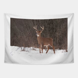 Bambi - White-tailed Buck Tapestry