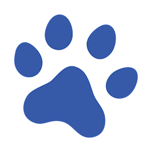 Blue paw print T-Shirt