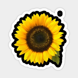 Sunflower Magnet