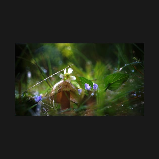 Mushroom and Flowers in the Rain by 1Redbublppasswo