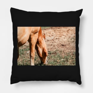 Haflinger on a pasture in summer Pillow