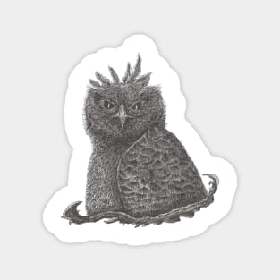 Baby Owl Magnet