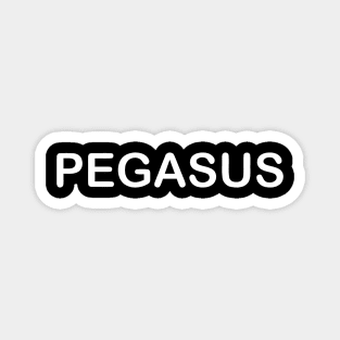 PEGASUS Magnet