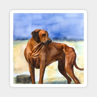Rhodesian Ridgeback Watercolor Painting - Dog Lover Gifts Magnet