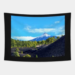View of the Teide Tapestry