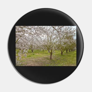 Almond Blossoms Pin