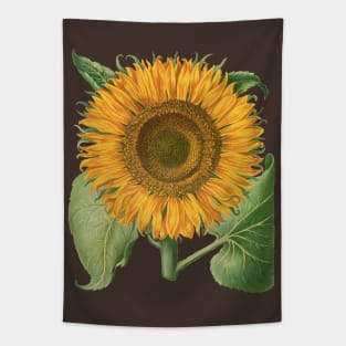 Sunflower by Basilius Besler Tapestry