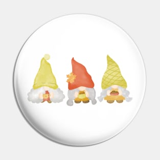 Cute Gnomes Pin