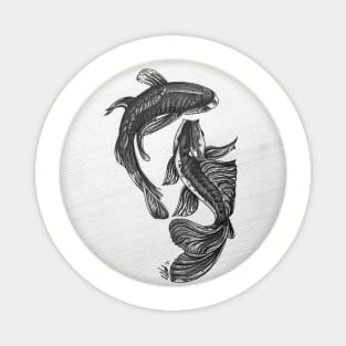 Koi Carp Dancing Magnet