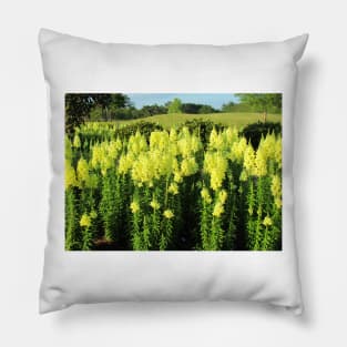 Field Of Yellow Snapdragon Pillow