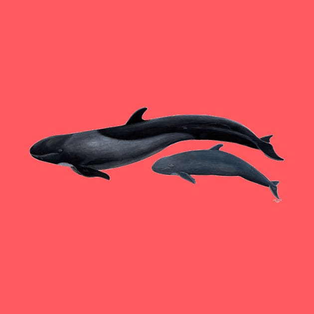 False killer whale by chloeyzoard