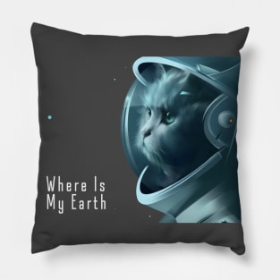 Where is my earth Pillow