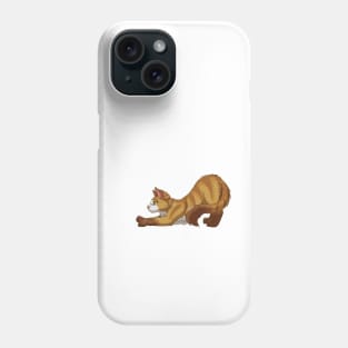 Tabby Somali Cat Stretching Yoga Cream Phone Case