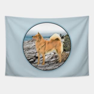 Finnish Spitz at Seashore Tapestry