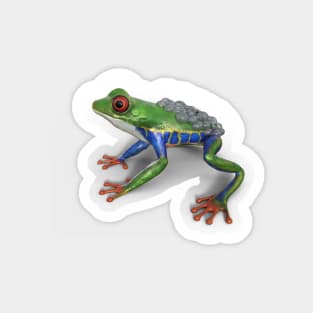 Frog/Red-Eyed Amazon Tree Frog (Agalychnis Callidryas)3d rendering Magnet