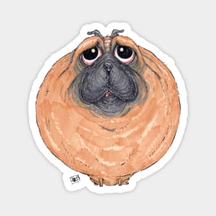 Pug Dog Magnet