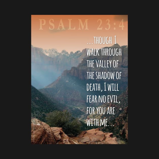 Though I walk through the valley I will fear no evil for You are with me. Psalm 23 by Third Day Media, LLC.