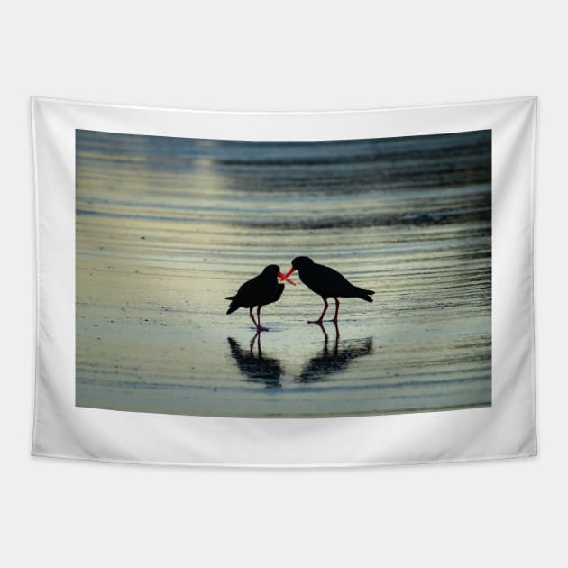 Two black oystercatchers silhouetted with orange beaks crossed, back-lit. Tapestry by brians101