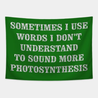 Sometimes I Use Words I Don't Understand Tapestry