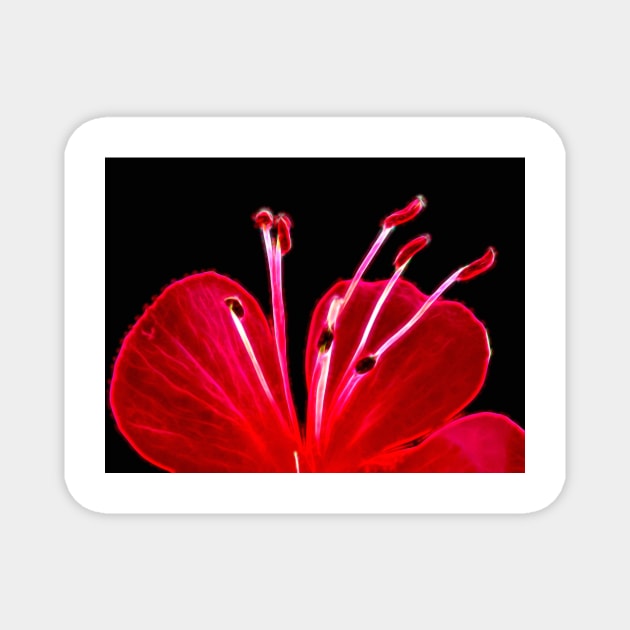 glowing vivid floral fantasy with delicate and intricate stamens Magnet by mister-john