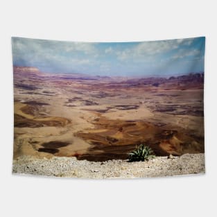 Israel, Mitzpe Ramon. Plant at Ramon Crater Tapestry