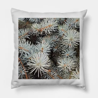 White Spruce Pillow