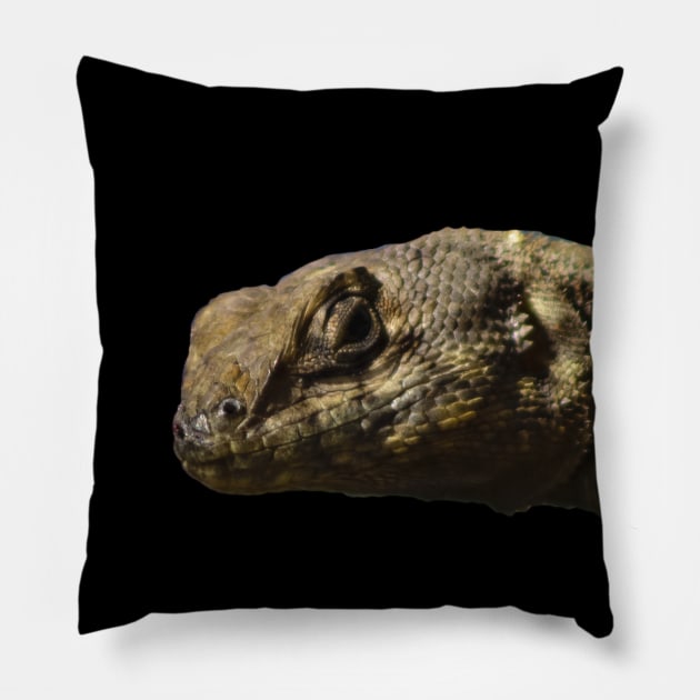 lizard Pillow by rickylabellevie