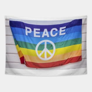 Rainbow Flag World Peace Tapestry