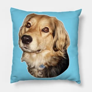 I love mix dogs 2 Pillow