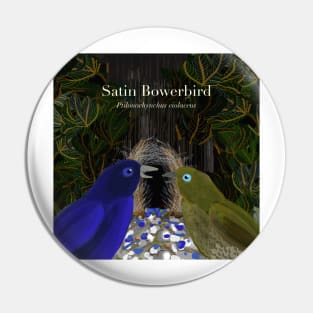 Satin Bowerbirds (text) Pin