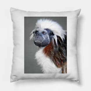 Cotton-top Tamarin Pillow