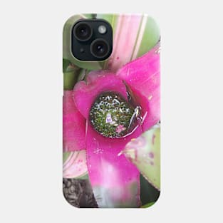 Fairy Pool Phone Case