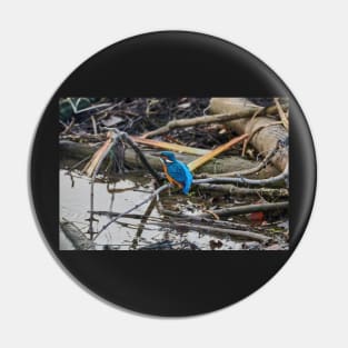 Kingfisher Pin