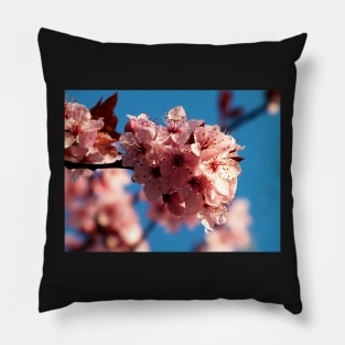 Spring Blossoms Pillow