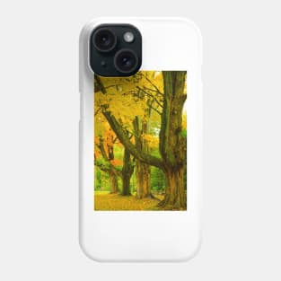 Pioneer Park Trees, Bayfield Phone Case