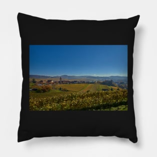 Burkheim, Kaiserstuhl - yet another view of the castle Pillow