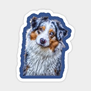 Australian Shepherd Magnet