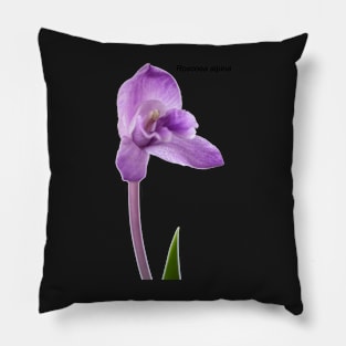 Roscoea alpina Pillow