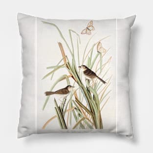 MacGillivray's Finch from Birds of America (1827) Pillow