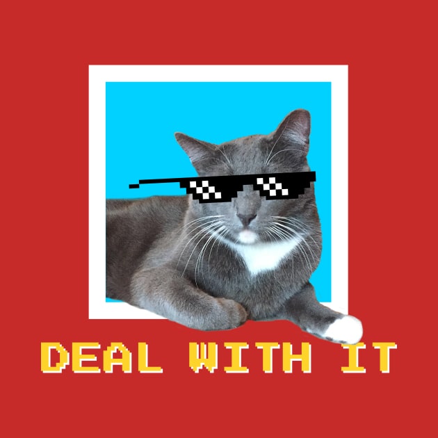 Deal With It! Sunglass Cat Meme by RogerTheCat