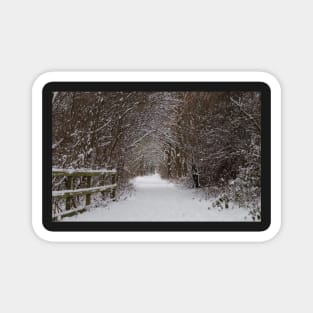 snow uk 2018 tree tunnel beast from the east Magnet