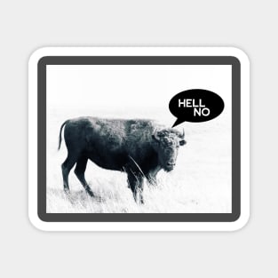 Hell No Animal Humor Bison Photo Art Magnet