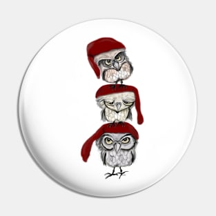 Christmas owls Pin