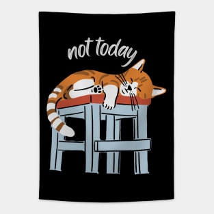 Lazy Cat Nope not Today funny sarcastic messages sayings and quotes Tapestry