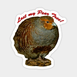 Partridge without a Pear tree Magnet