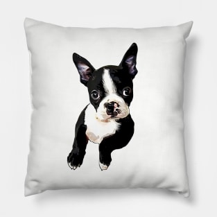 Boston Terrier Cutie Pillow